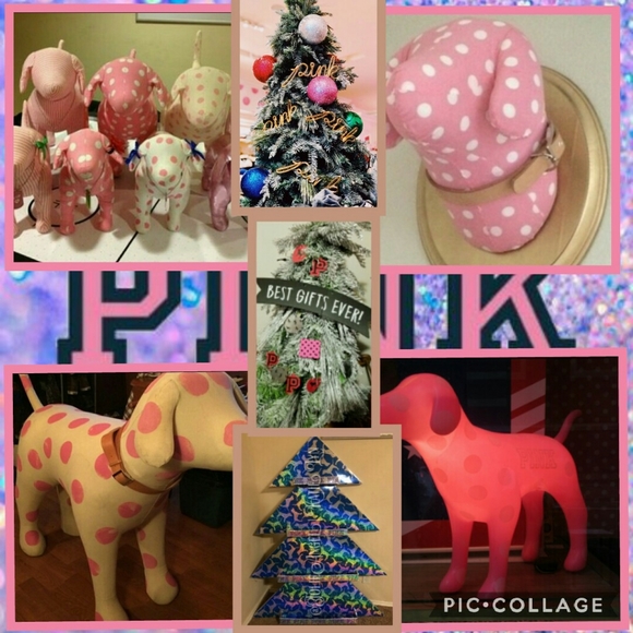 ISO✓ - Picture 6 of 8